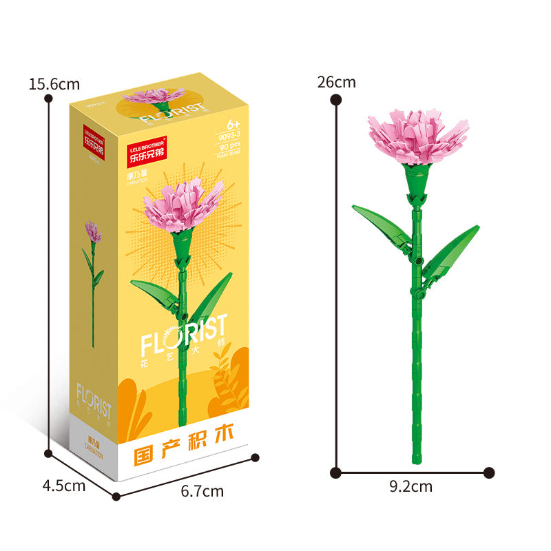 Carnation