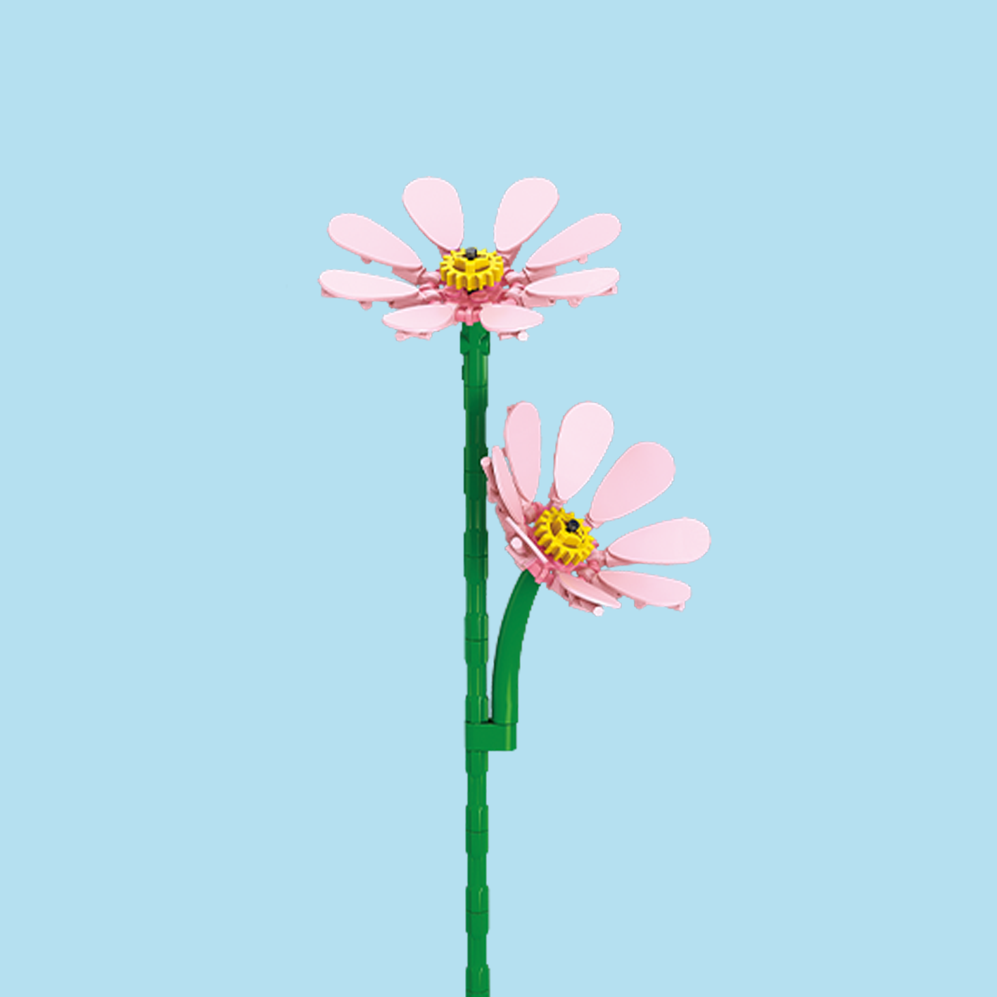 Cosmos