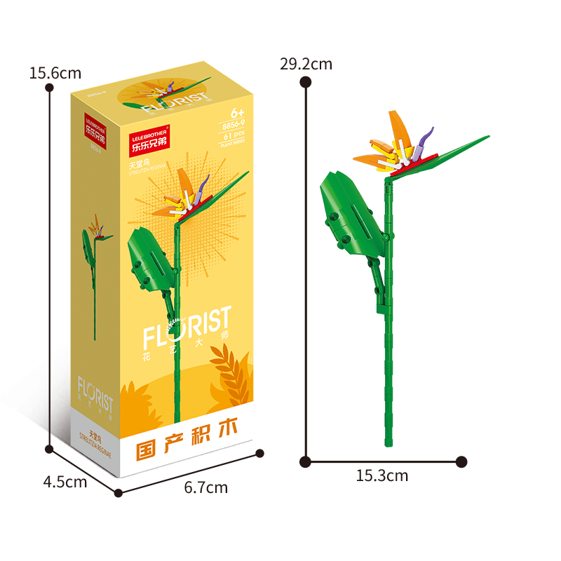 Bird of Paradise