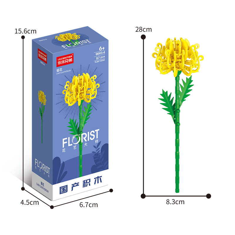 Chrysanthemum
