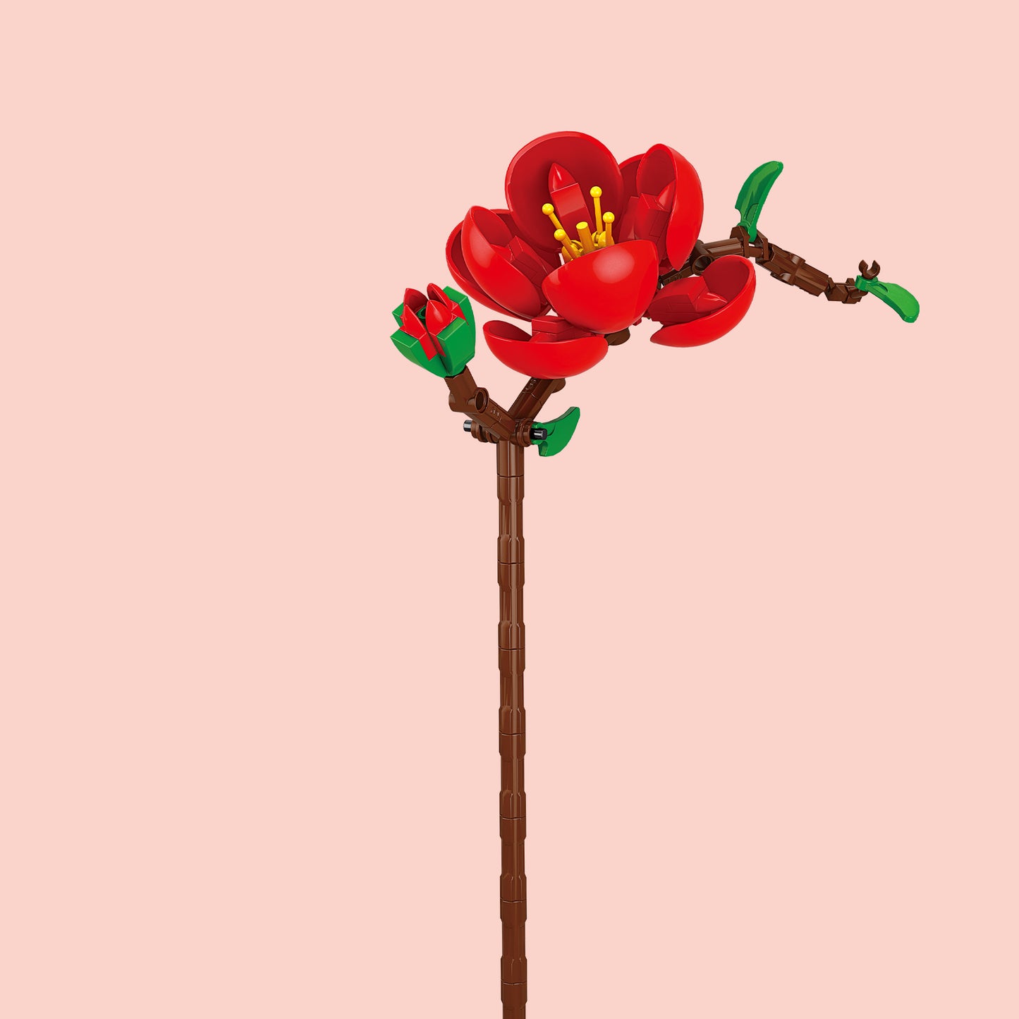 Apple Blossom