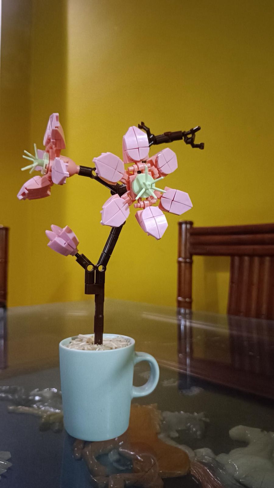 Sakura tree – Setsugo