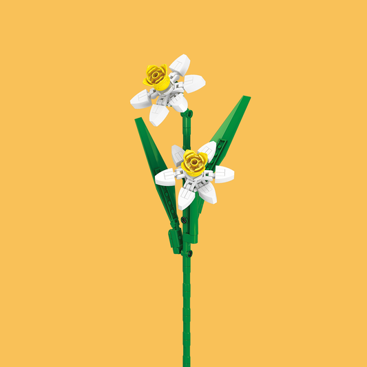 Daffodil