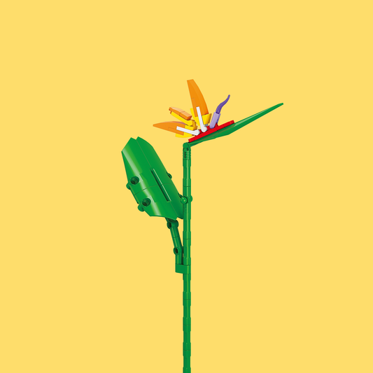 Bird of Paradise