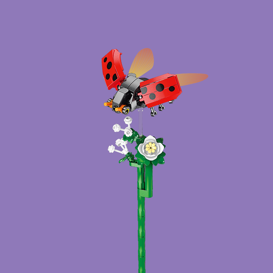 Ladybug