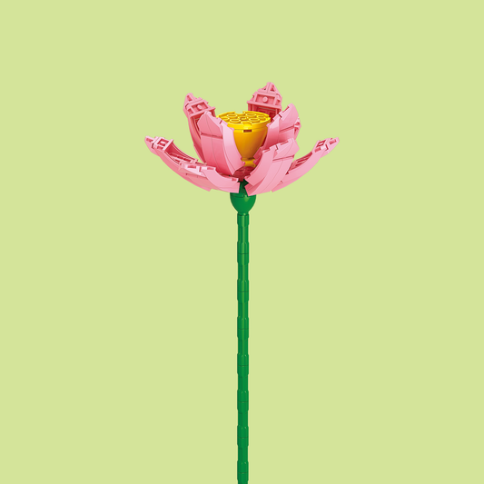 Lotus