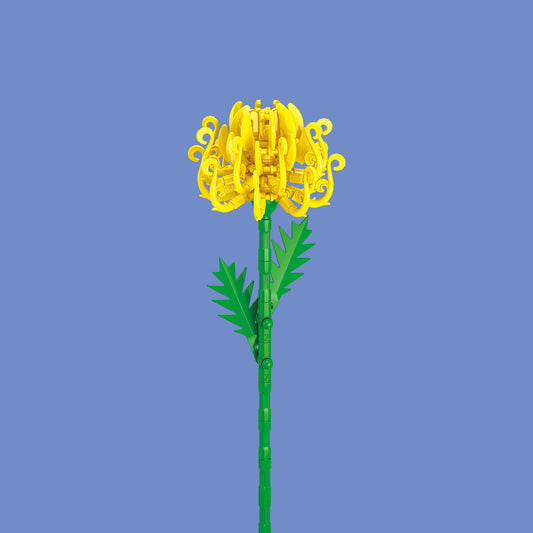 Chrysanthemum