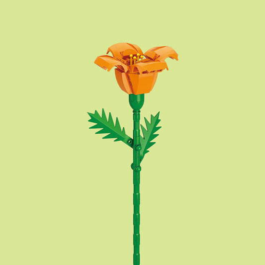 Poppy