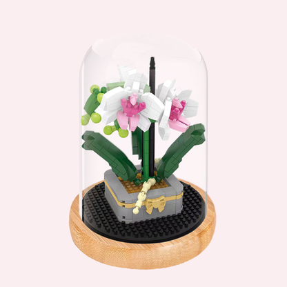 Orchids