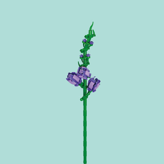 Sword lily