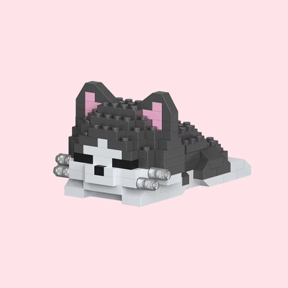 Eepy Cat