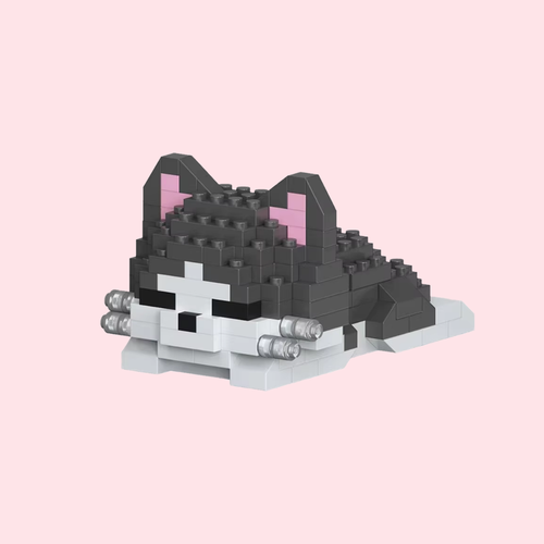Eepy Cat